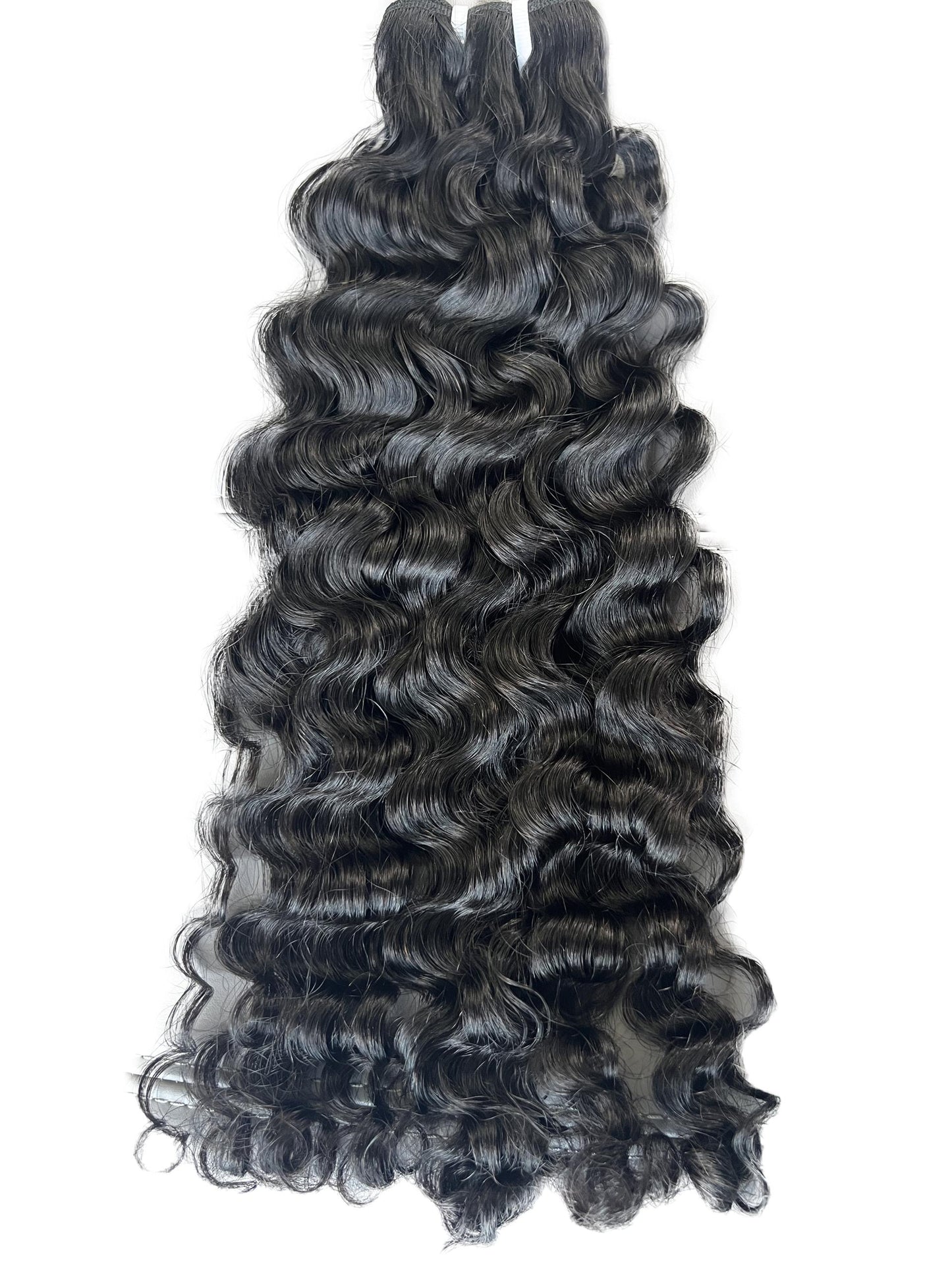 Burmese Curly